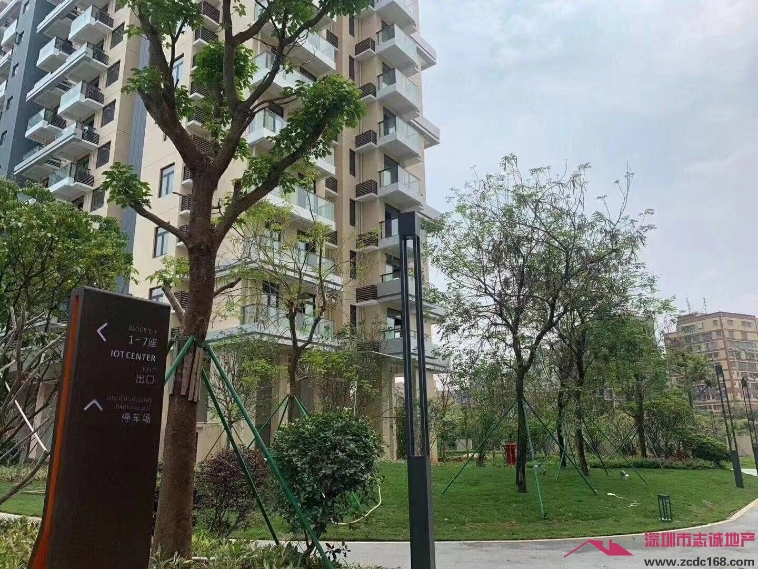 深圳小產權房