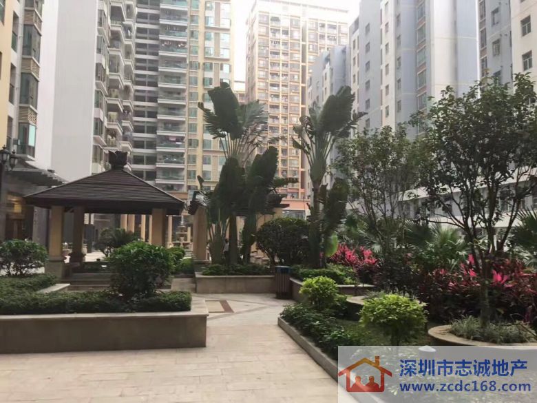 深圳小產權房