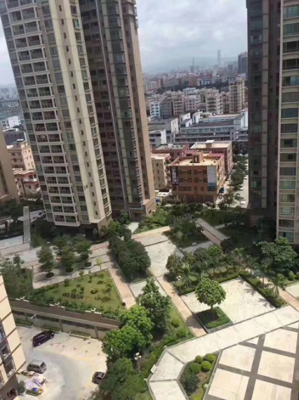 寶安區沙井|德馨花園|5棟村委統建樓,16500起每平米,村委蓋章,空中花園