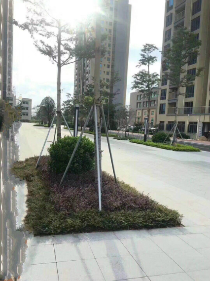 寶安松崗沙井交匯處-通城國際花園 6棟花園小區封閉式管理花園小產權房 均價14000一平