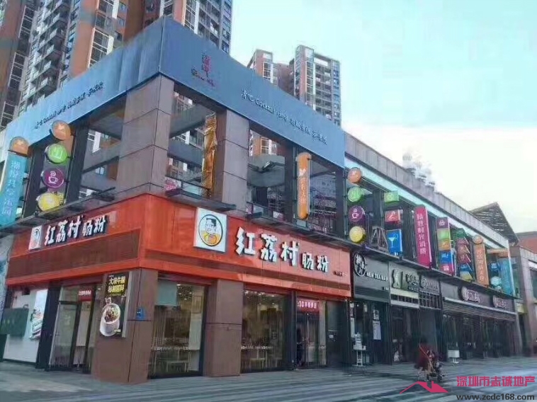 龍華小產權房